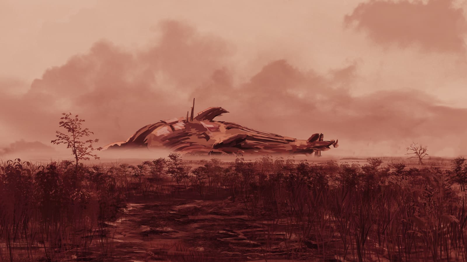 Swamp